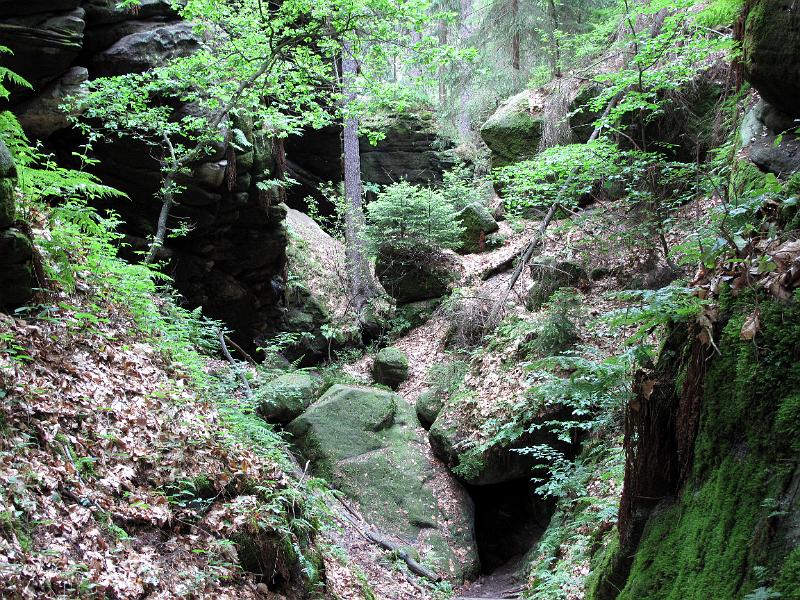 2010-06-12, Uttewalder Grund (42).jpg